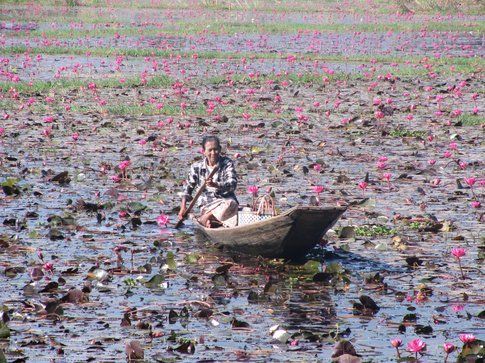 inle lake