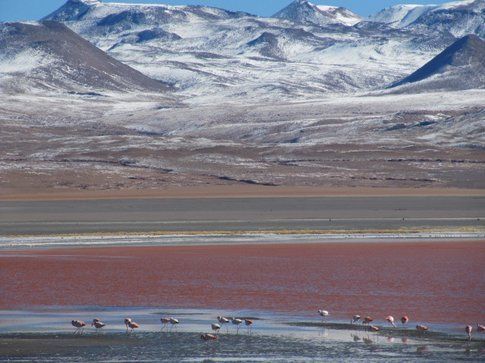 laguna rossa