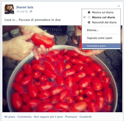 Facebook: come inserire gli status su una pagina web