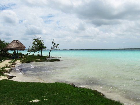 Bacalar