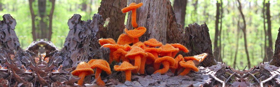 Installazioni artistiche: funghi di lana nei boschi dell’Oklahoma