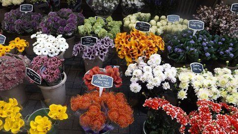 mercato dei fiori