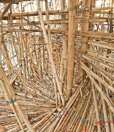 Big Bambù © Mike + Doug Starn