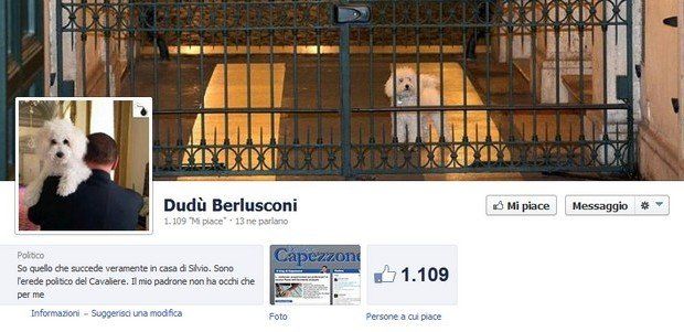 Dudù Berlusconi è su Facebook