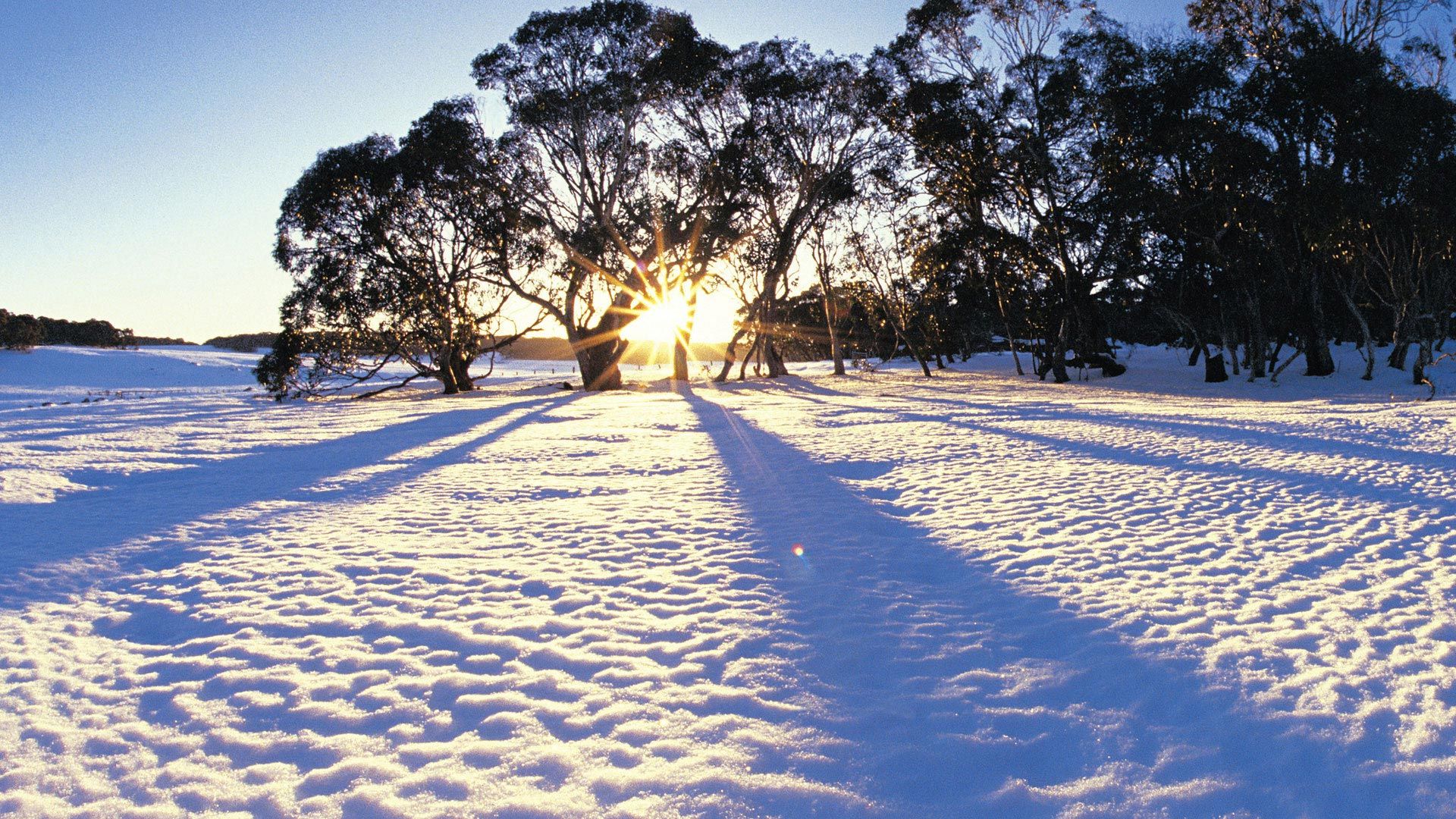 Сонник чистый снег много. Зима в Австралии. Снег в Австралии. Австралия климат зима. Зима в Сиднее.