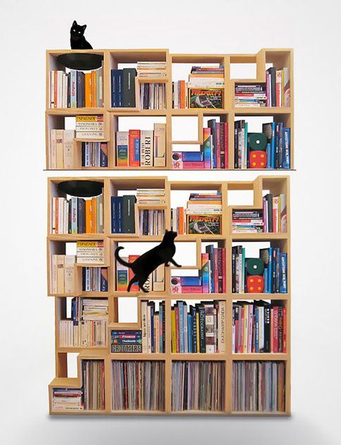 Corentin Dombrecht - Cat-Library