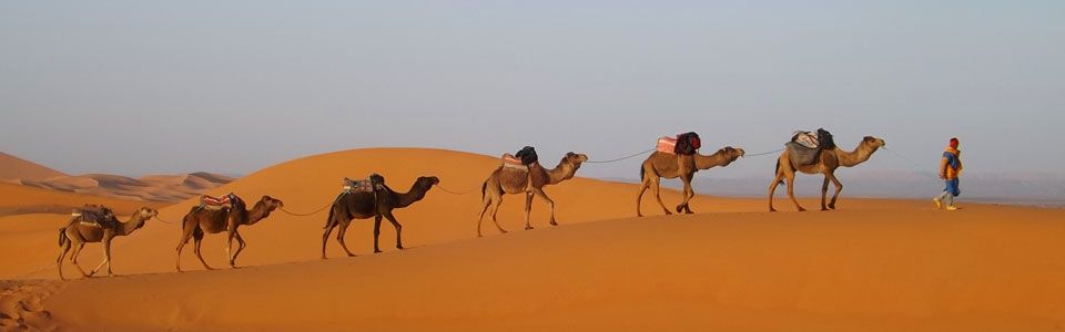 Viaggio in Marocco: Da Fes a Marrakech passando per il deserto