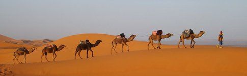 Deserto del Sahara - Photocredit: www.viaggiare-low-cost.it