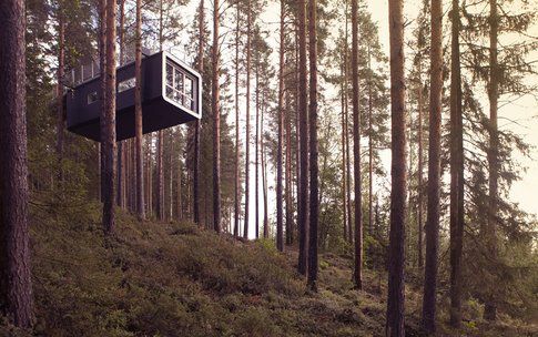 Tree Hotel