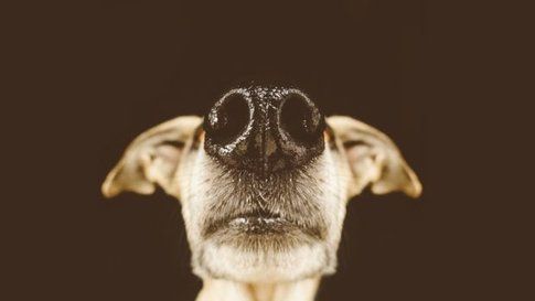 Foto di Elke Vogelsang