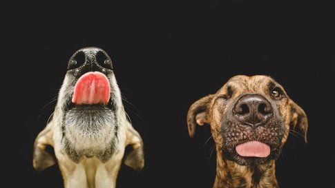 Foto di Elke Vogelsang