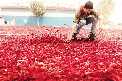 una strada ricoperta da migliaia di fiori