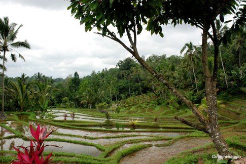 Bali - Foto: In Ogni Viaggio