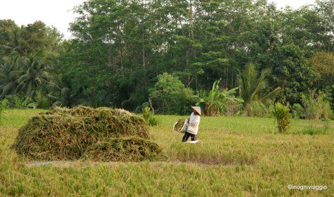 Bali - Foto: In Ogni Viaggio