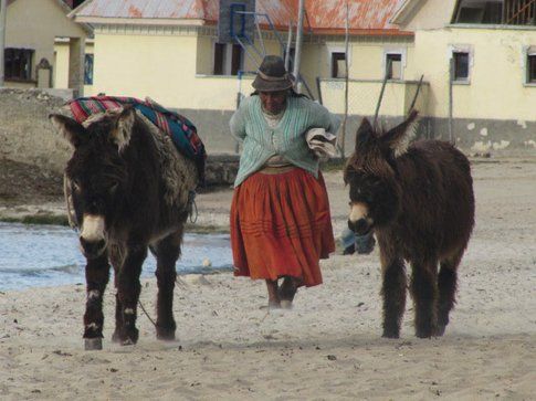 Lago Titicaca - Photo www.viaggiare-low-cost,it