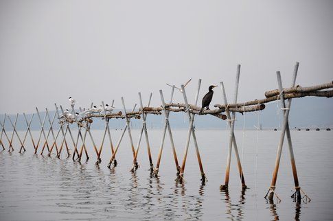 Lago di Varano