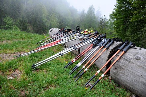 Nordic Walking a Passo Nota