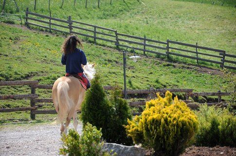 Passeggiate a cavallo