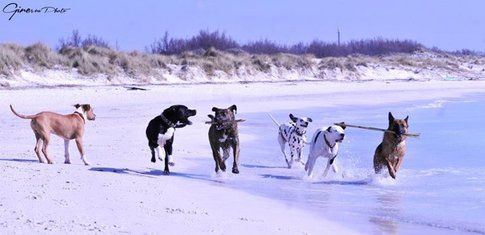 Spiaggia di Rosignano Solvay - Vada (Livorno) - Foto di Ginevra Dini