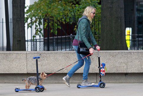 Naomi Watts e il suo cagnolino