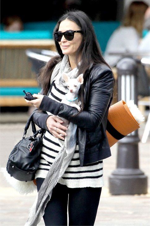 Demi Moore e il suo chihuahua