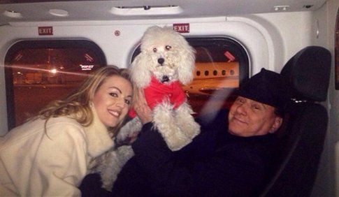 Dudù, il cane di Berlusconi e Francesca Pascale