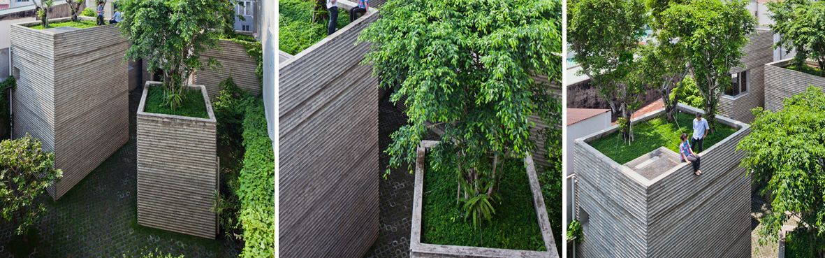 Le case per gli alberi in Vietnam