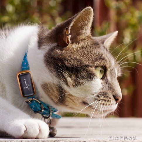 G-Paws pet gps tracker