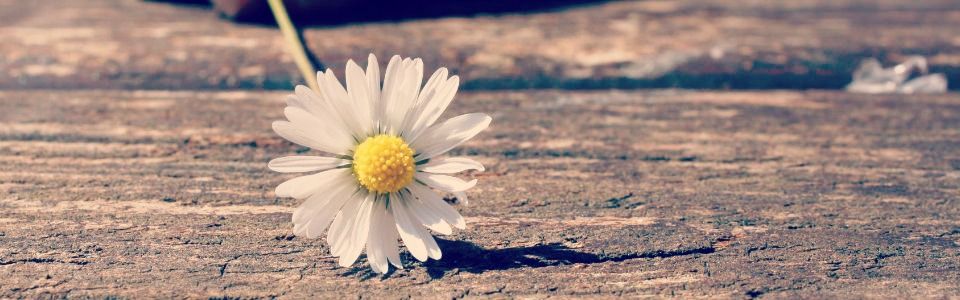 30 regole di vita per essere felici