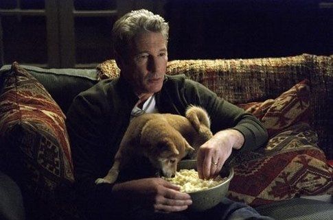 Hachiko - Il tuo migliore amico - Fonte: Movieplayer.it