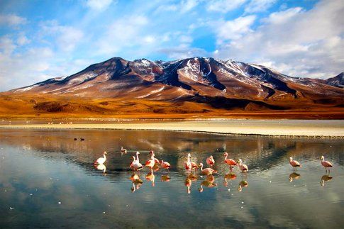 Laguna Colorada