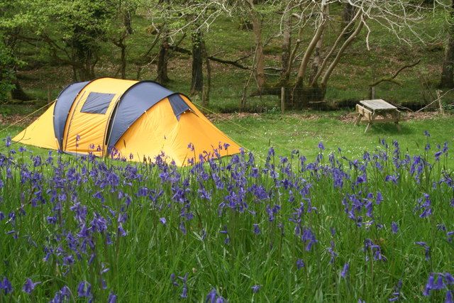 Vacanze in campeggio: consigli utili per organizzarle