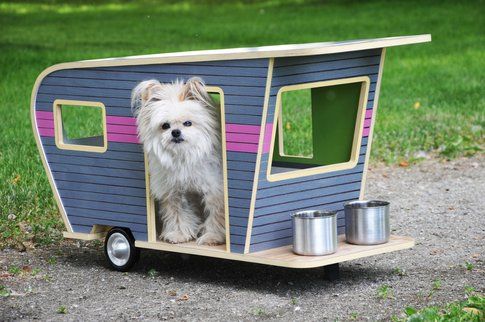 Judson Beaumont Pet Trailers