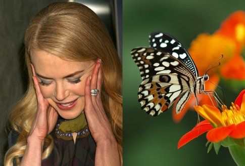 Nicole Kidman e la papilofobia