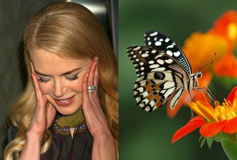 Nicole Kidman e la papilofobia