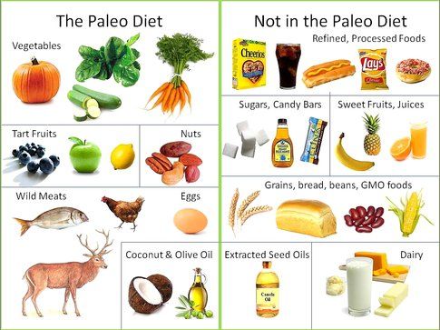 Alimenti consentiti dalla paleodieta