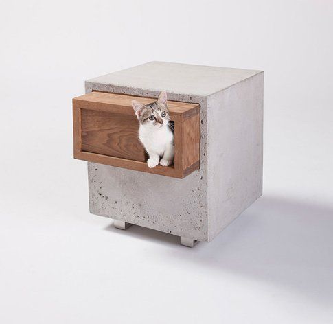 Standard Architecture Design. Cat Cube ©Grey Crawford