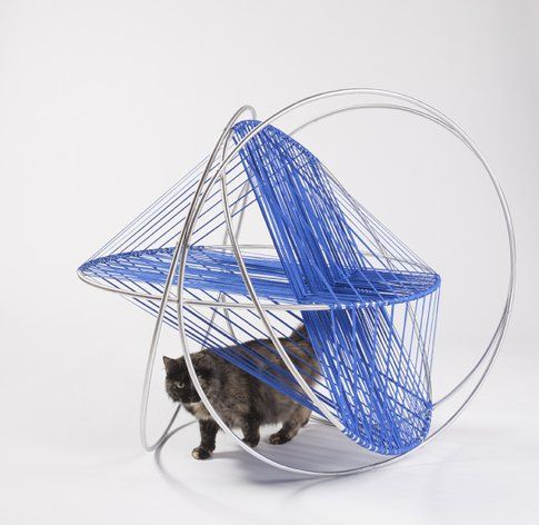 DSH Architecture. Cat's Cradle ©Grey Crawford