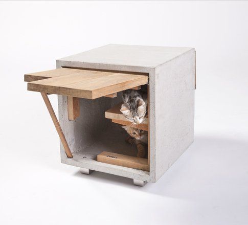 Standard Architecture Design. Cat Cube ©Grey Crawford