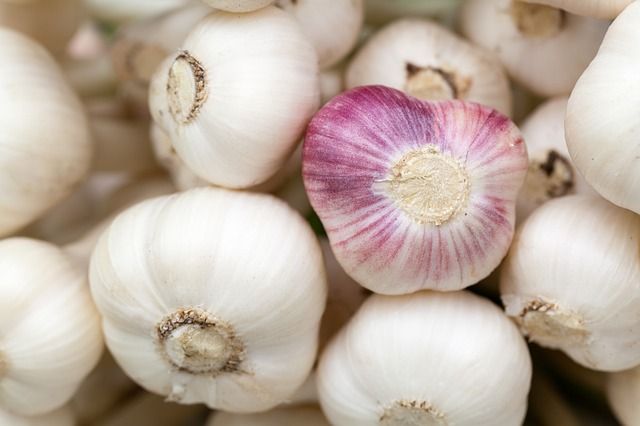 Micosi e funghi della pelle: i rimedi naturali per curarli