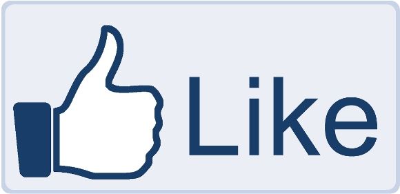 8 categorie di persone da non degnare mai di un like