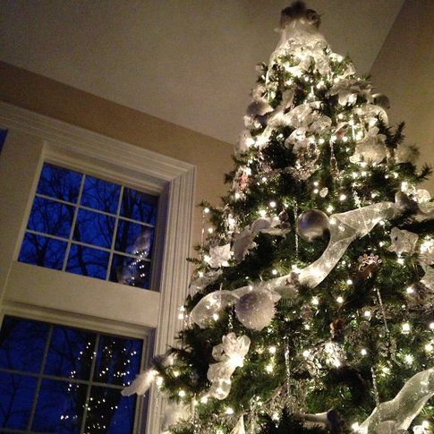 L'albero di Natale - Foto: jackiehughes21 su Iconsquare