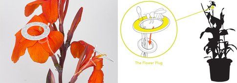 flower plug