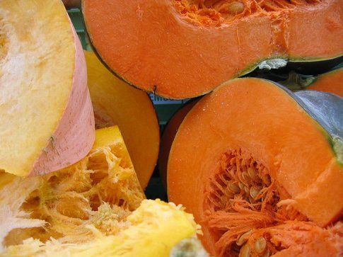 Zucca - Foto: Pixabay