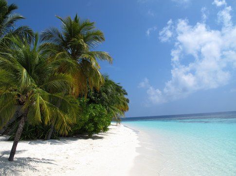 Maldive