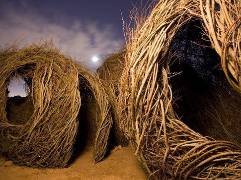 Patrick Dougherty Foto Adam Rodrigue