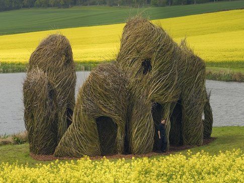 Patrick Dougherty Foto Fin McCrea