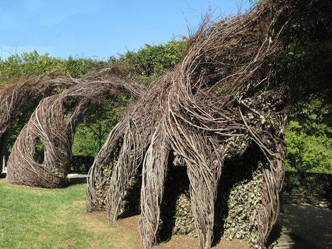 Patrick Dougherty Foto Andy Lynch