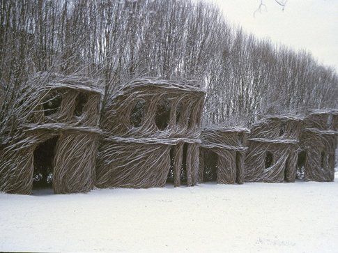 Patrick Dougherty Foto Doyle Dean