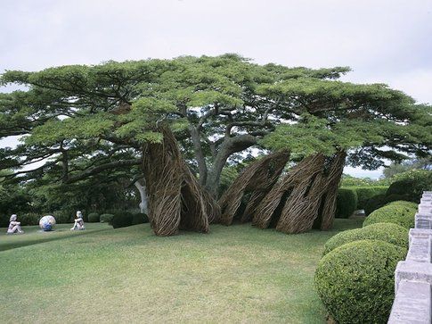 Patrick Dougherty Foto Paul Kodama